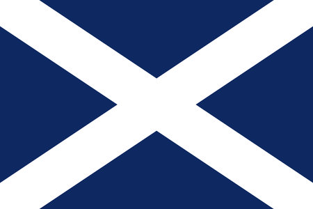 Flag of Tenerife.のイラスト素材