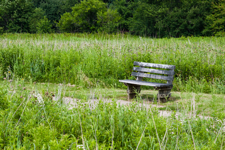 wooden bench at parkの写真素材