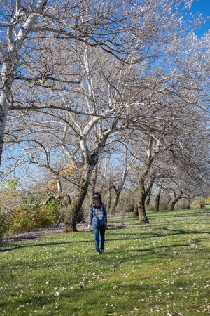 person standing with treesの写真素材