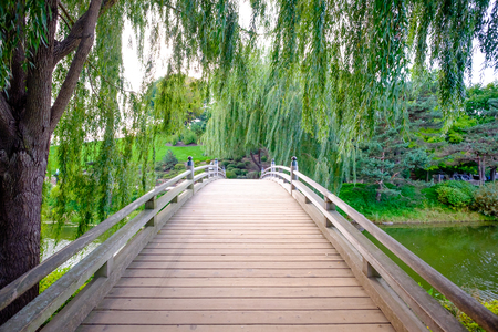wooden bridge path with treesの写真素材