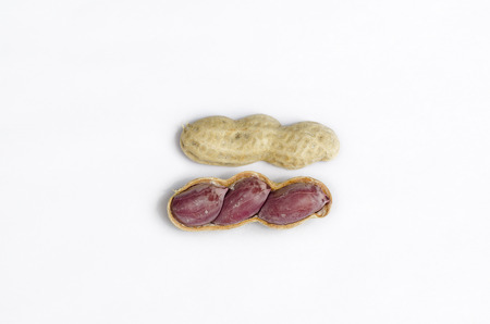 Boiled peanut on white background.の写真素材