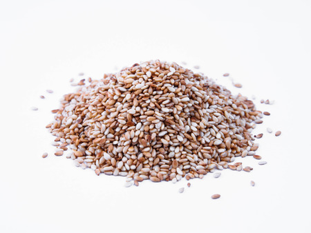 sesame bg whiteの写真素材