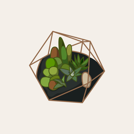 Illustration of succulents in a glass pot. Vector illustrationのイラスト素材