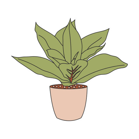 Flat Indoor Plant Illustrationのイラスト素材