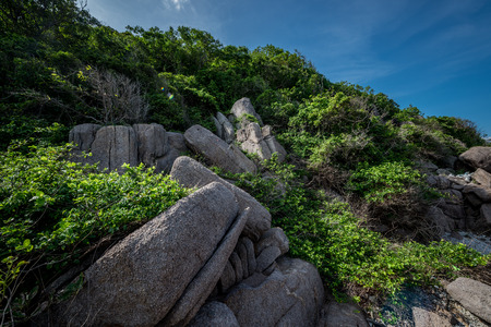 Rocks Beachの写真素材