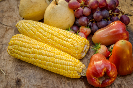 fruit woodの写真素材