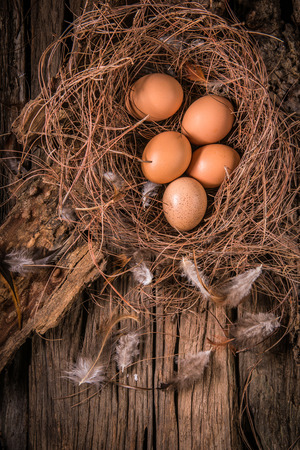 egg on woodの写真素材