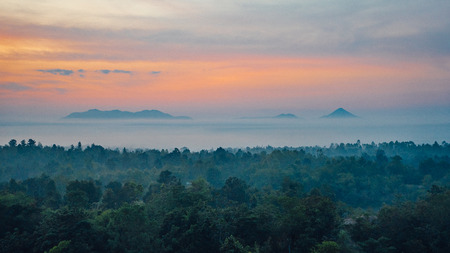 The mist covered the trees in the morning when the sun was rising.の写真素材