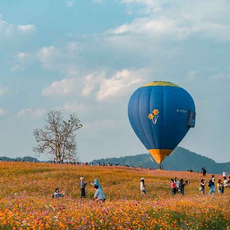 Balloon Festival, Singha Park Chiang Rai Balloon Fiesta 2019, Chiang Rai, Thailand-13 to 17 February 2019.のeditorial素材