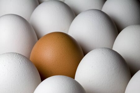 Many eggs in a carton