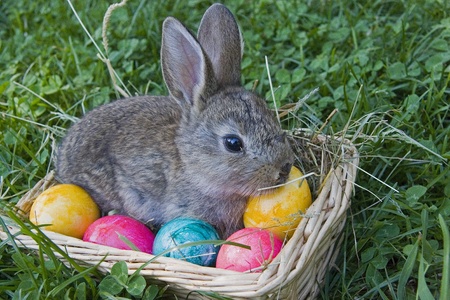 The Easter Bunny is on the way