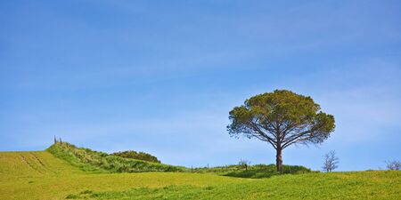 tuscany landscape