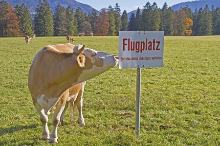 detourned airfieldの写真素材