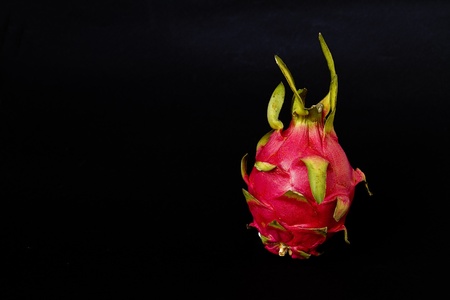 Pitahayaの写真素材