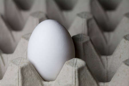 egg lonerの写真素材