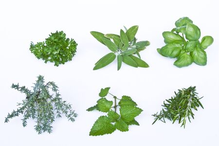 kitchen herbsの写真素材