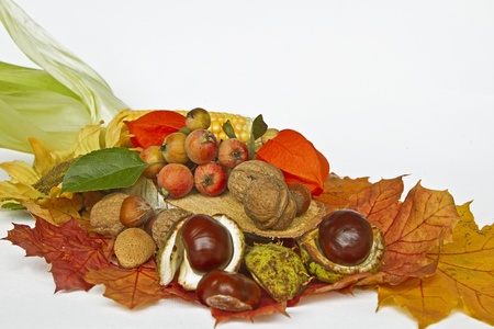 autumnal still life with different fruits 