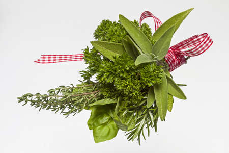 Different herbsの写真素材