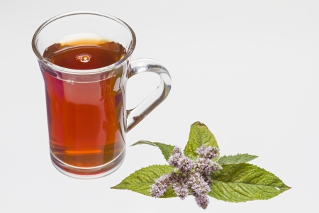 A cup of mint tea on white backgroundの写真素材