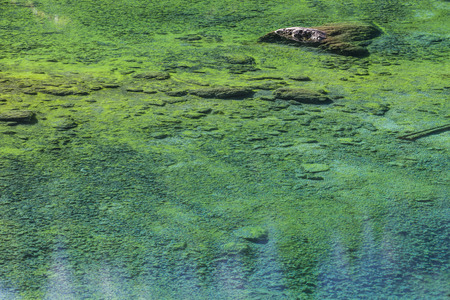 Wallpaper - Turquoise lake
