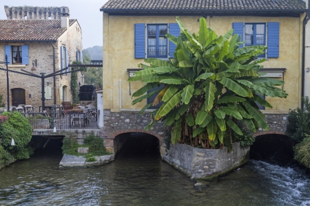 Idyllic house detail with banana shrubの写真素材