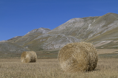 Hay balls on the Piano Grande in the Sibillini Mountainsの写真素材