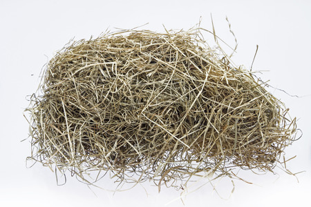 Hay on white backgroundの写真素材