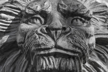 Close-up of a lion portrait in stone