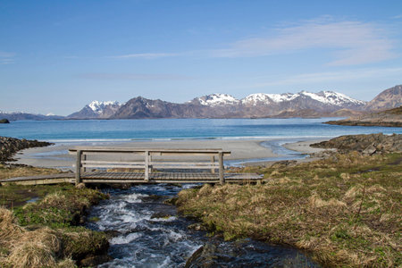 Torrent with a sandy beach on the Lofoten island Vestvagoy の写真素材
