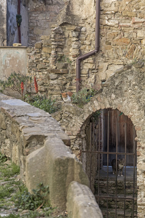 Impressions and details from the small Ligurian village of Bussana Vecchiaの写真素材