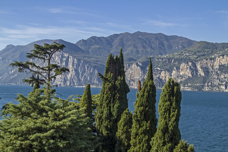 Mediterranean vegetation on Lake Gardaの写真素材