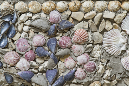 Many different types of shells adorn this wallの写真素材