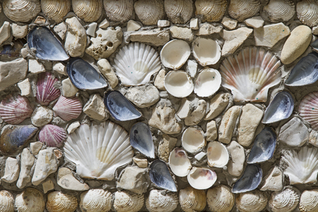 Many different types of shells adorn this wallの写真素材