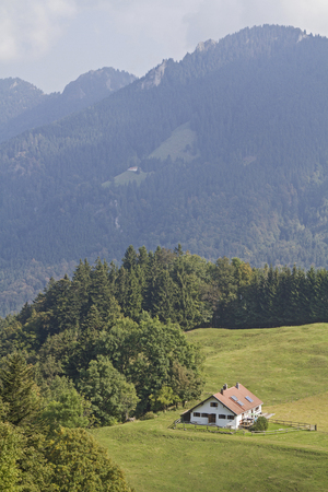 Daffnerwaldalm - pastures in the Bavarian Alpsのeditorial素材