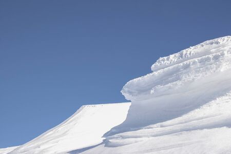 Plays of nature from the natural builder's windの写真素材