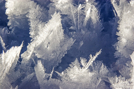 Wintertime - delicate artworks of nature