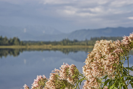 Soon the summer is over at the idyllic lake Kirchseeの写真素材