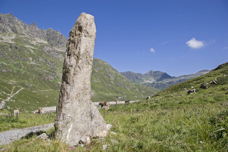 Phallus-like rock in a high-lying Silvretta valley which is often used by the cows there as a scratching brushの写真素材