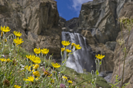 Powerful waterfalls plummet in the Gran Paradiso area from the glacier-covered peaks of up to 4,000 metersの写真素材