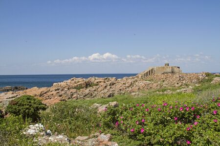 In the nature reserve Hovs Hallar, the small mountain range Hallandsasen ends abruptly by the sea...