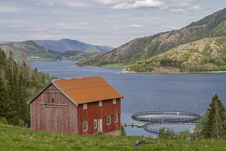 Norwegian aquaculture is often based on net cages in the open sea or in bays and is mainly used for breeding salmonの写真素材