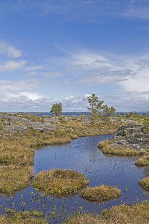 Typical Norwegian Fjell landscape on Tustna in the province of More og Romsdaの写真素材