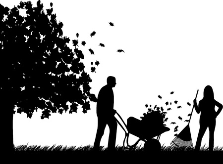 Couple raking leaves in autumn or fall in garden or yard under the tree silhouetteのイラスト素材