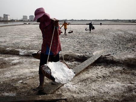 salt farmのeditorial素材
