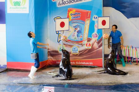 BANGKOK CITY, THAILAND - JULY 2016: sea lion show at zoo, In the jul 27, 2016. Bangkok Thailand.のeditorial素材