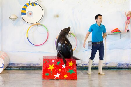 BANGKOK CITY, THAILAND - JULY 2016: sea lion show at zoo, In the jul 27, 2016. Bangkok Thailand.のeditorial素材