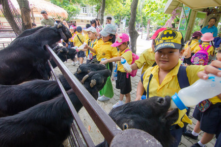 BANGKOK CITY, THAILAND - JULY 2016: primary Students visit the zoo, In the jul 27, 2016. Bangkok Thailand.のeditorial素材