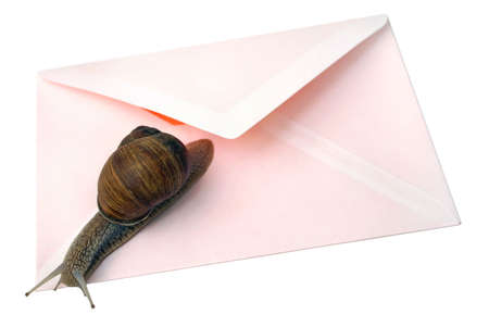 Isolated photo of snail and envelopeの写真素材