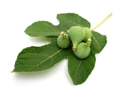 Fig fruits and leaf on white background
