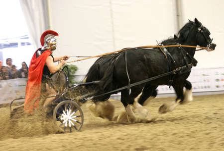 Chariot with driver in Roman costume and two Shire horses on Fiera Cavalli Verona, some motion blur.の写真素材